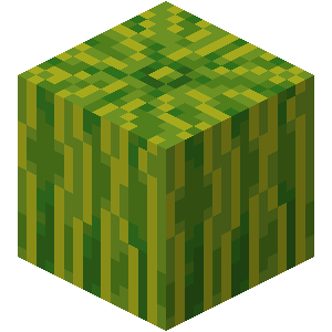 How to Create Custom Minecraft Skins – MelonCube – Blog