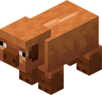 Minecraft Snapshot 25w02a: Warm Pig Mob